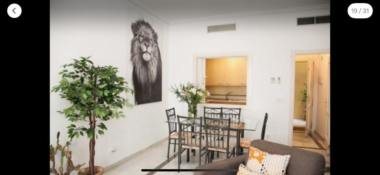 Very Nice Apartament. City Center. Private Parking إشبيلية المظهر الخارجي الصورة